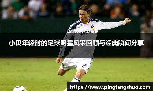 金年会金字招牌