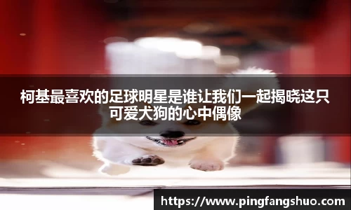 金年会金字招牌